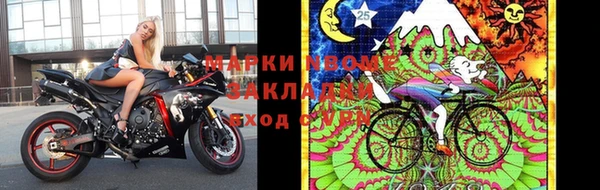 гидра Богданович