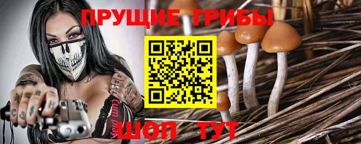 Бузулук  Галлюциногенные грибы Magic Shrooms  Псилоцибиновые грибы ЛСД  Вход с VPN 