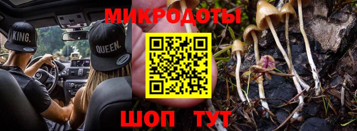 Бузулук  Псилоцибиновые грибы Magic Shrooms  Вход с VPN 