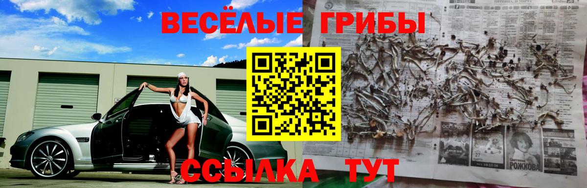 Галлюциногенные грибы GOLDEN TEACHER Бузулук